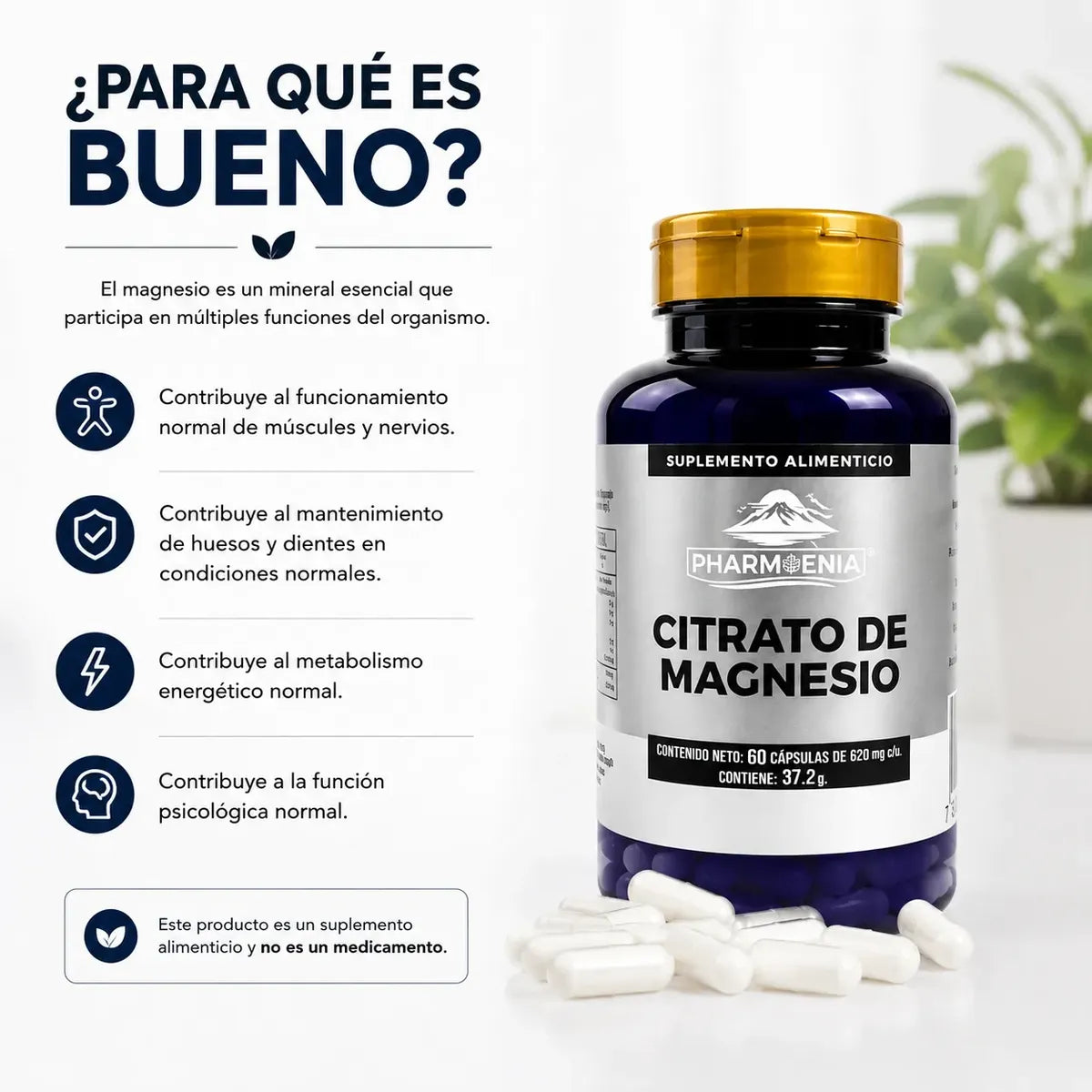 Citrato de Magnesio - Pharmenia (60 Cápsulas)